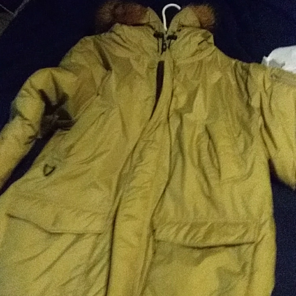 Winter Coat
